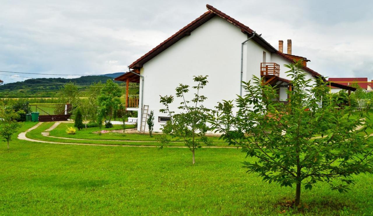 Vila Tara Hategului Hotel Exterior foto