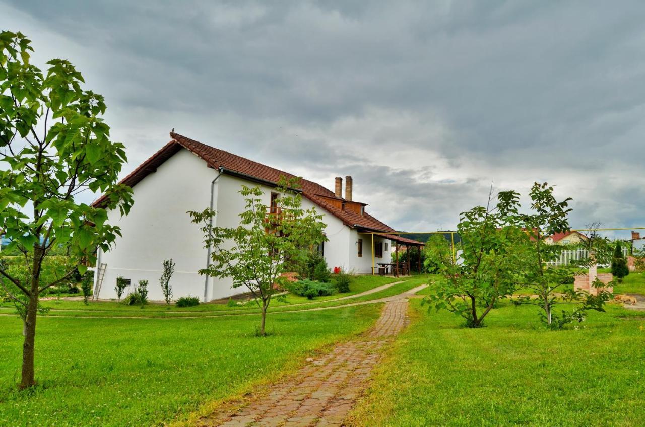 Vila Tara Hategului Hotel Exterior foto