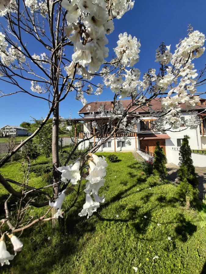 Vila Tara Hategului Hotel Exterior foto