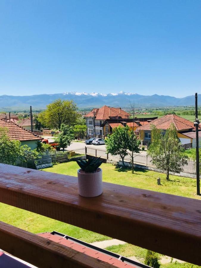 Vila Tara Hategului Exterior foto