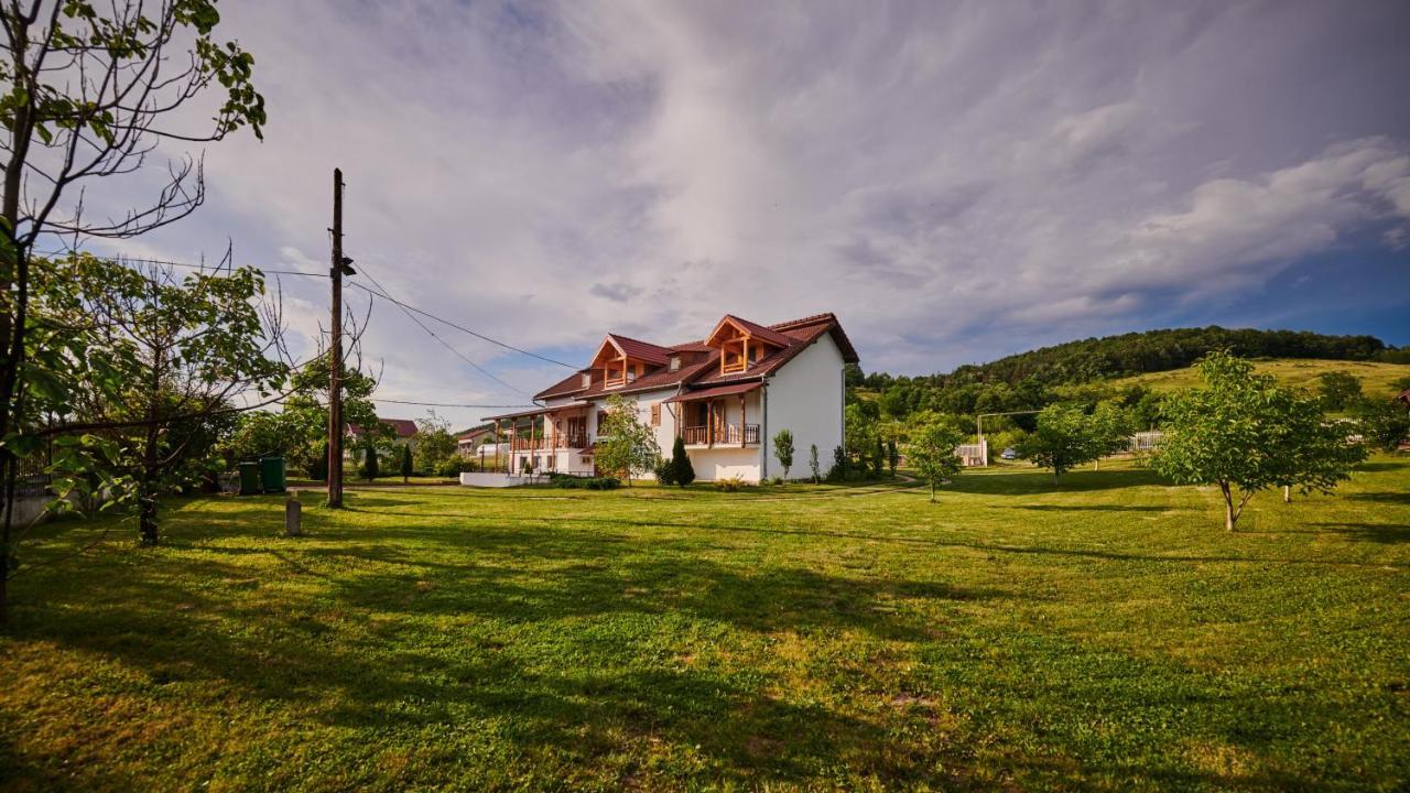 Vila Tara Hategului Hotel Exterior foto