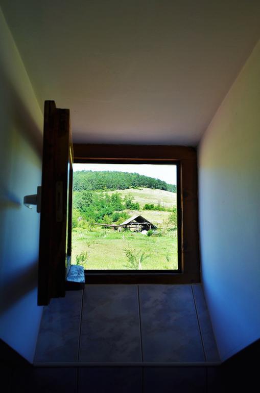 Vila Tara Hategului Exterior foto